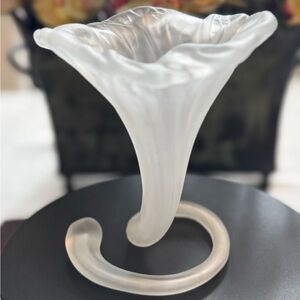 Elegant Frosted Glass Vase